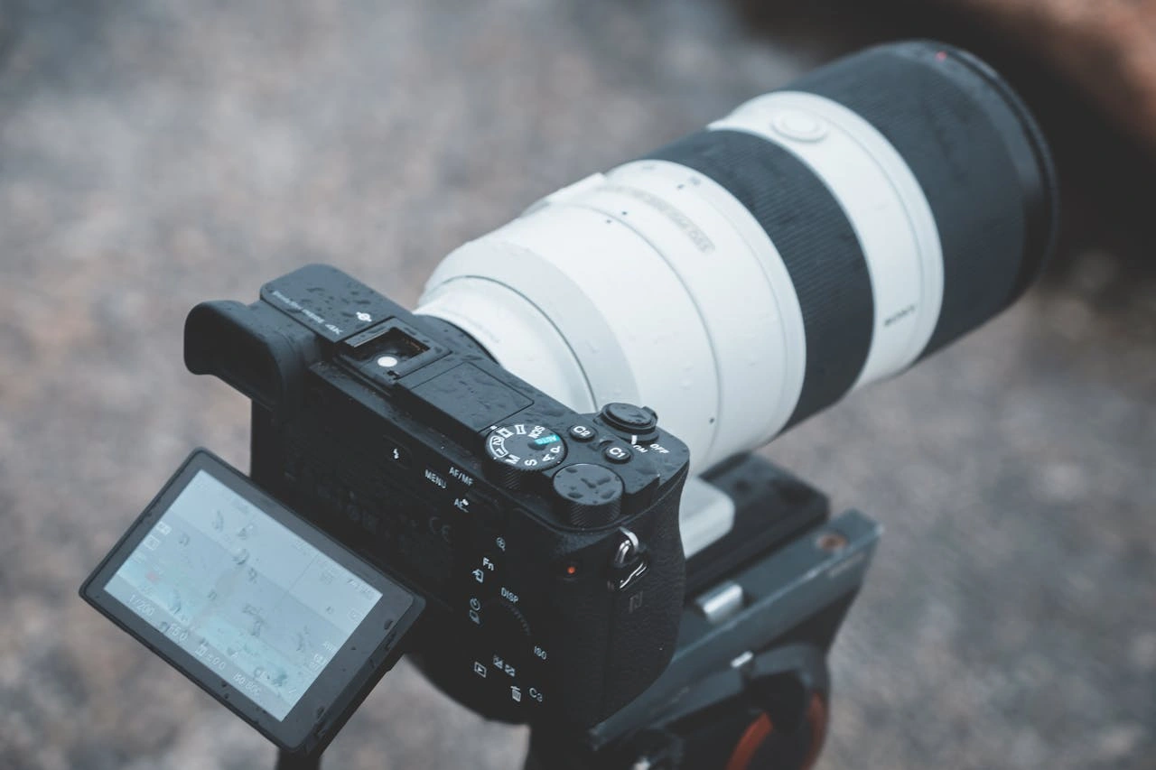 Memilih Antara Kamera Mirrorless vs DSLR Bekas: Tips dan Panduan